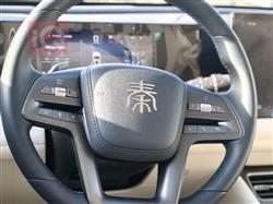 بي واي دي كوين L DM-i